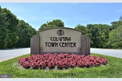 10205 Wincopin Circle #302, Columbia, MD 21044 - Photo 32