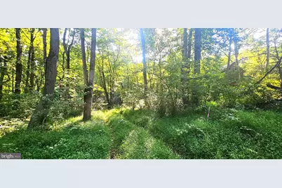 546 W Watersville Road, Mount Airy, MD 21771 - Photo 6