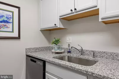 10850 Green Mountain Circle #518, Columbia, MD 21044 - Photo 10