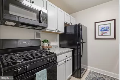 10850 Green Mountain Circle #518, Columbia, MD 21044 - Photo 8