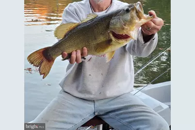 21 6th Avenue, Betterton, MD 21610 - Photo 12