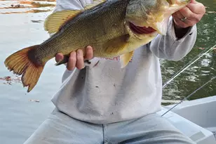 21 6th Ave, Betterton, MD 21610 - Photo 12