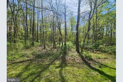 Fish Hatchery Road, Chestertown, MD 21620 - Photo 4