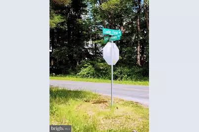 Caulks Field Road, Chestertown, MD 21620 - Photo 4