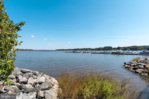 118 Little Harbor Way, Chestertown, MD 21620 - Photo 54