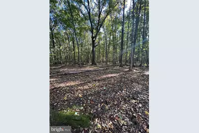 Georgetown Road, Chestertown, MD 21620 - Photo 6