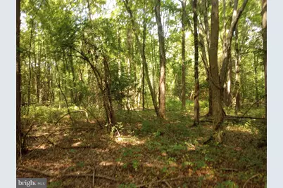 Cloquet Road, Chestertown, MD 21620 - Photo 18