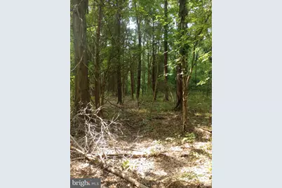 Cloquet Road, Chestertown, MD 21620 - Photo 16