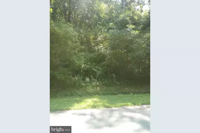 Cloquet Road, Chestertown, MD 21620 - Photo 8