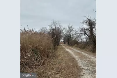 6520 Swan Creek Road, Rock Hall, MD 21661 - Photo 58