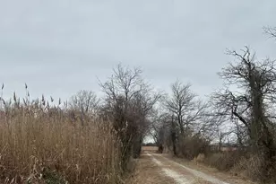 6520 Swan Creek Rd, Rock Hall, MD 21661 - Photo 58