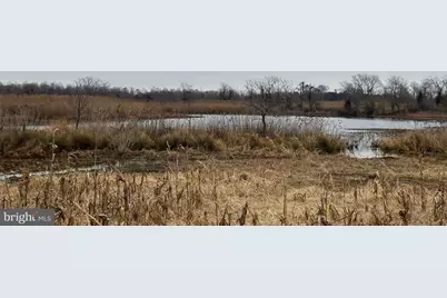 6520 Swan Creek Road, Rock Hall, MD 21661 - Photo 56