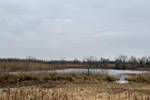 6520 Swan Creek Rd, Rock Hall, MD 21661 - Photo 56