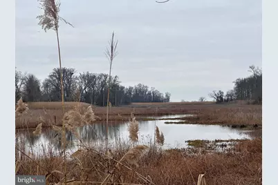 6520 Swan Creek Road, Rock Hall, MD 21661 - Photo 48