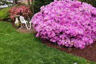 201 Greenwood Ave, Chestertown, MD 21620 - Photo 48