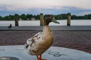 112 Metcalf Rd, Chestertown, MD 21620 - Photo 54