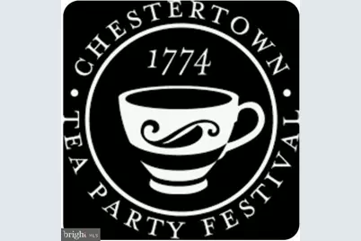 132 Prospect Street, Chestertown, MD 21620 - Photo 20