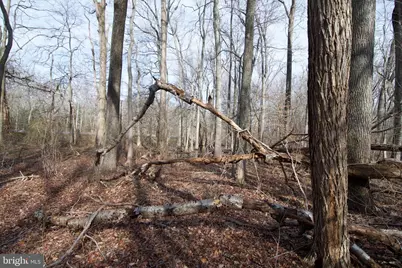 0 Carroll Clark Road, Galena, MD 21635 - Photo 24