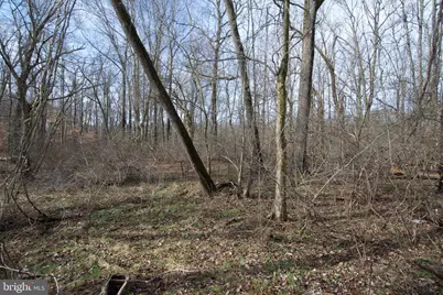 0 Carroll Clark Road, Galena, MD 21635 - Photo 20