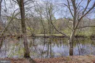 31729 W Edge Rd, Millington, MD 21651 - Photo 60