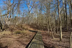 24241 Drayton Landing Dr, Worton, MD 21678 - Photo 52