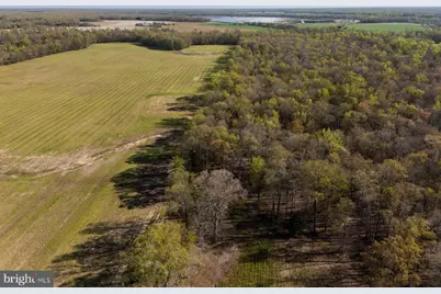 34203 Cypress Road, Millington, MD 21651 - Photo 6