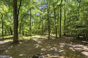 22300 Frazier Rd, Rock Hall, MD 21661 - Photo 32