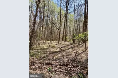 19230 Chandlee Mill Road, Sandy Spring, MD 20860 - Photo 2