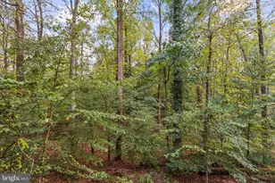 6508 Tall Tree Terrace, Rockville, MD 20852 - Photo 10