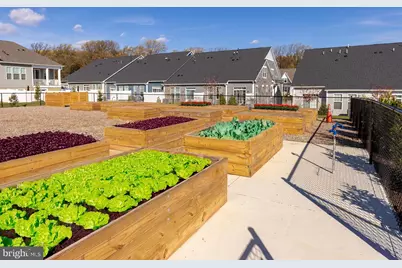 13240 Petrel Street #106, Clarksburg, MD 20871 - Photo 50