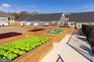 13240 Petrel St, Clarksburg, MD 20871 - Photo 50