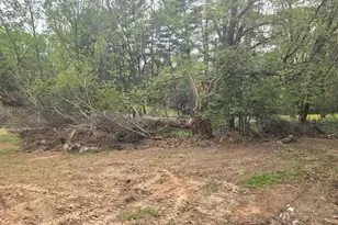 133 Bonifant Rd, Silver Spring, MD 20905 - Photo 18