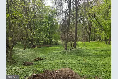 133 Bonifant Road, Silver Spring, MD 20905 - Photo 24