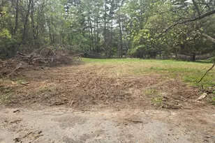 133 Bonifant Rd, Silver Spring, MD 20905 - Photo 14