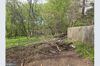 133 Bonifant Road, Silver Spring, MD 20905 - Photo 22