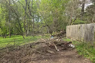 133 Bonifant Rd, Silver Spring, MD 20905 - Photo 22