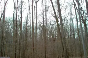 550 Bryants Nursery Rd, Silver Spring, MD 20905 - Photo 1