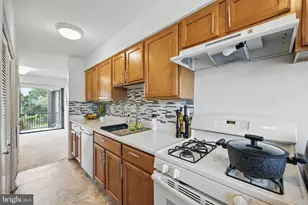 2107 Walsh View Terrace, Silver Spring, MD 20902 - Photo 14