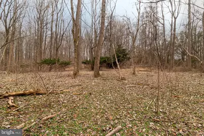 1625 Ashton Road, Ashton, MD 20861 - Photo 12