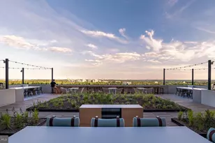 4710 Elm St, Bethesda, MD 20814 - Photo 14