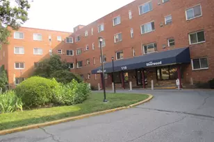 116 Lee Ave, Takoma Park, MD 20912 - Photo 34