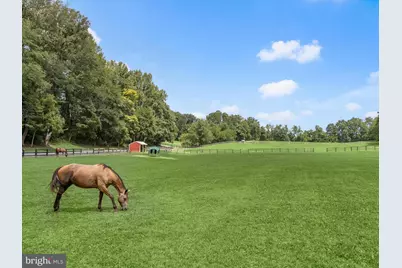 10901 Moxley Road, Damascus, MD 20872 - Photo 6