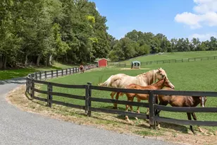 10901 Moxley Rd, Damascus, MD 20872 - Photo 114