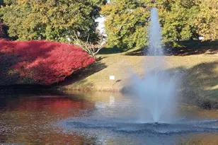 15101 Interlachen Dr, Silver Spring, MD 20906 - Photo 42