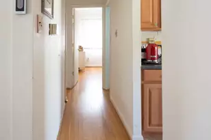 13710 Arctic Ave, Rockville, MD 20853 - Photo 18