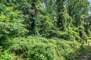 7539 Spring Lake Dr, Bethesda, MD 20817 - Photo 22