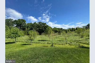 15491 Barnesville Road, Boyds, MD 20841 - Photo 4
