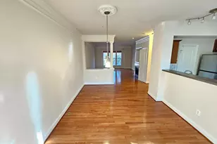 9820 Darcy Forest Dr, Silver Spring, MD 20910 - Photo 8