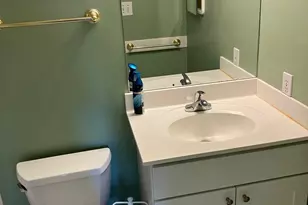 10316 Royal Rd, Silver Spring, MD 20903 - Photo 30