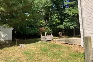 10316 Royal Rd, Silver Spring, MD 20903 - Photo 6